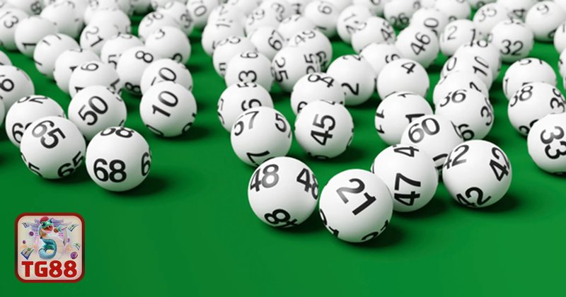 Xổ Số Miền Nam - Xổ Số Miền Nam TG88 có gì nổi bật?